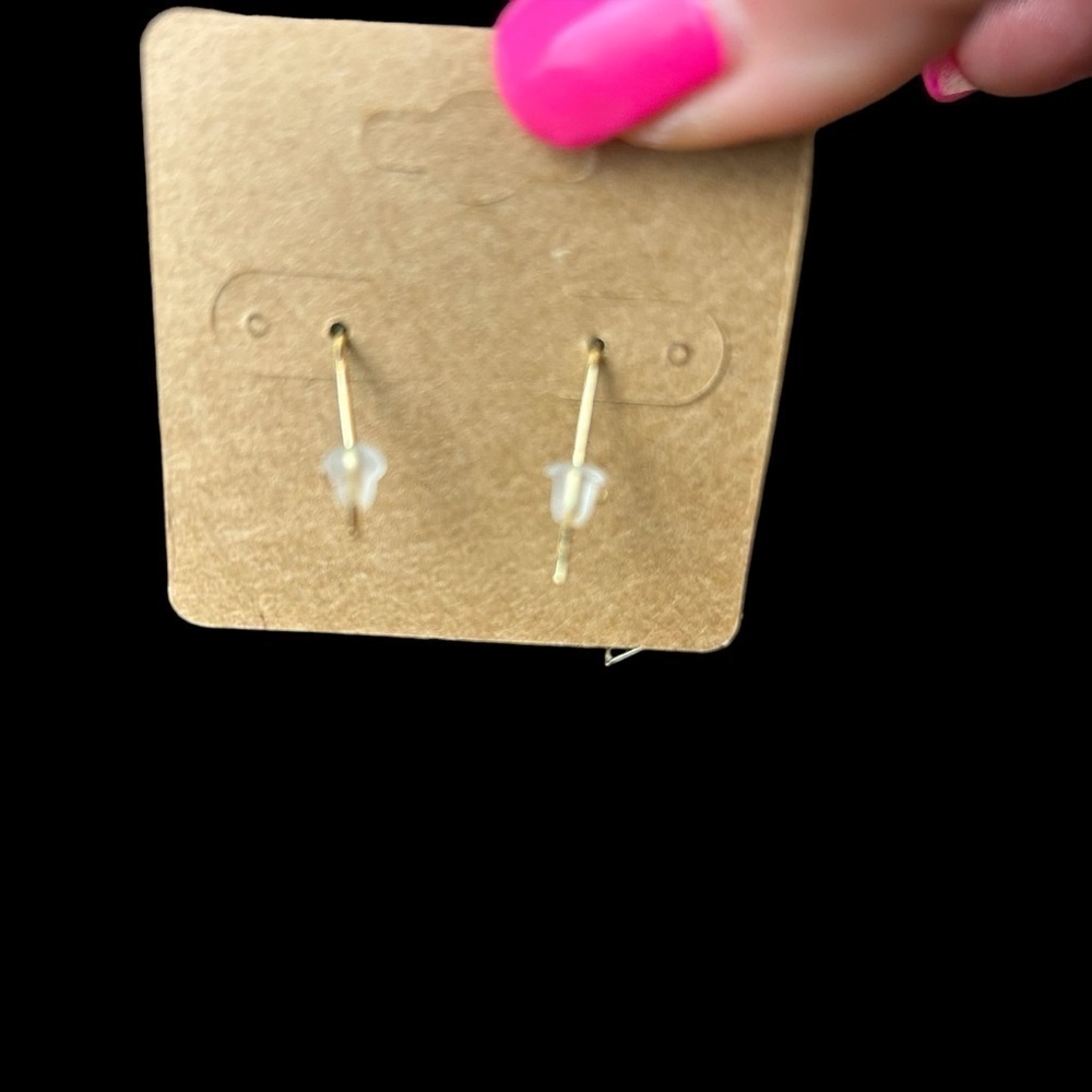 Tropical Margarita Earrings with a Slice Of Lime with Fish Hook Piercing - Picture 4 of 10